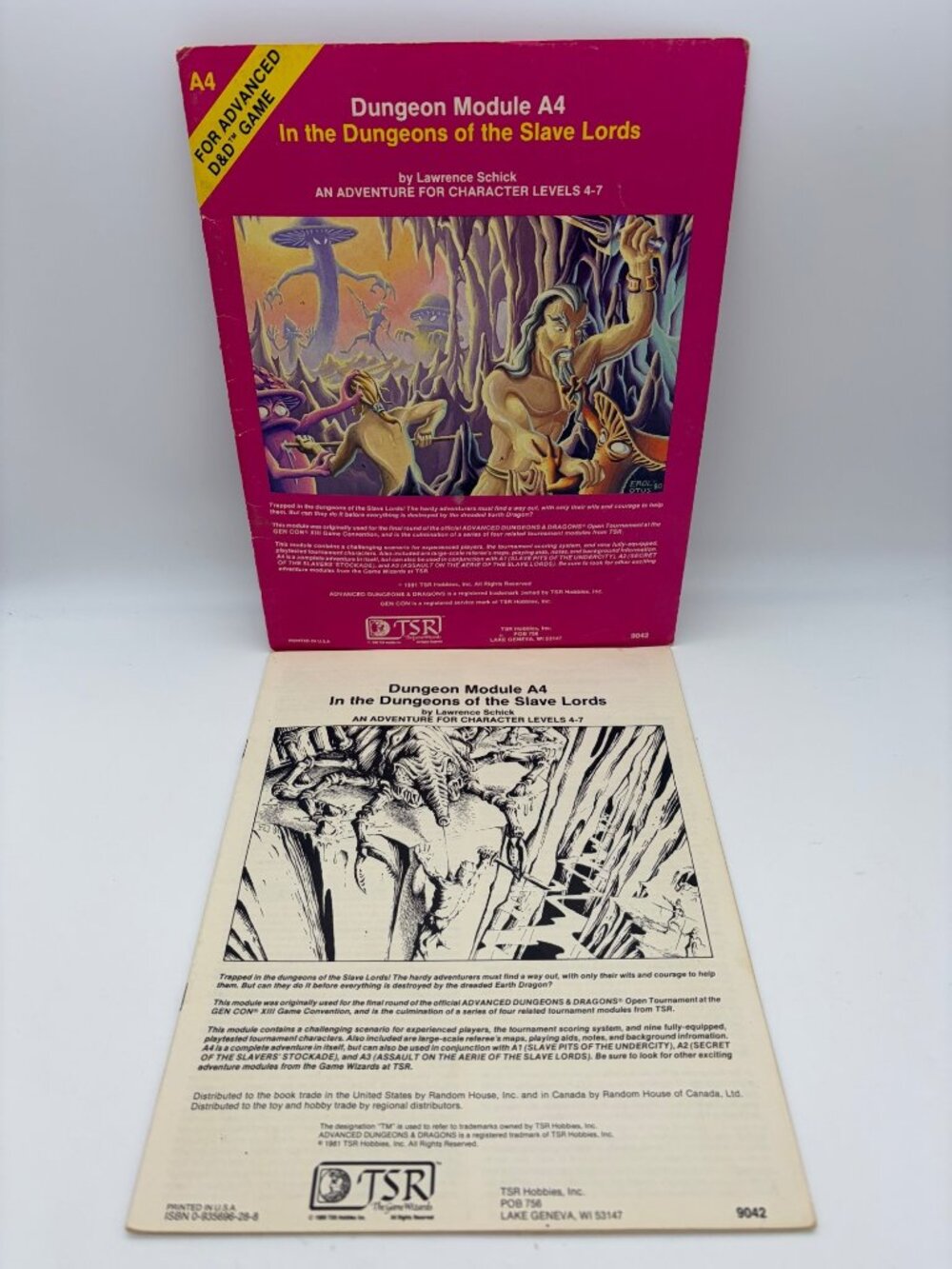 1981 TSR A4 In the Dungeons of the Slave Lords AD&D 1st Ed Schick Erol Otus 9042